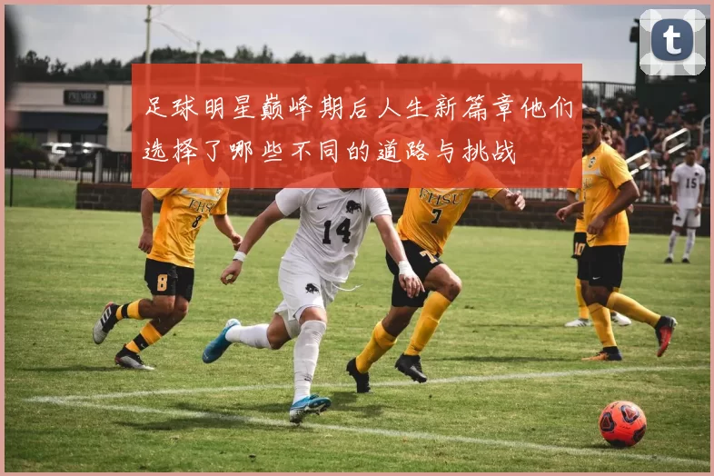 足球明星巅峰期后人生新篇章他们选择了哪些不同的道路与挑战